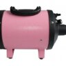 CS-2400 pink.JPG